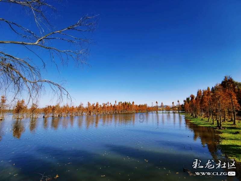 特斯拉人形机器人最早明年交付,马斯克:价值潜力远超其他产品总和