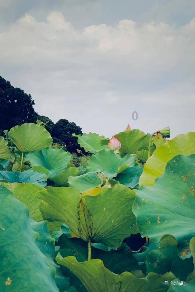 疯狂猜动漫2
