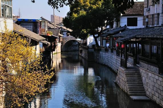 绿色大圆球的是什么植物？游戏画面